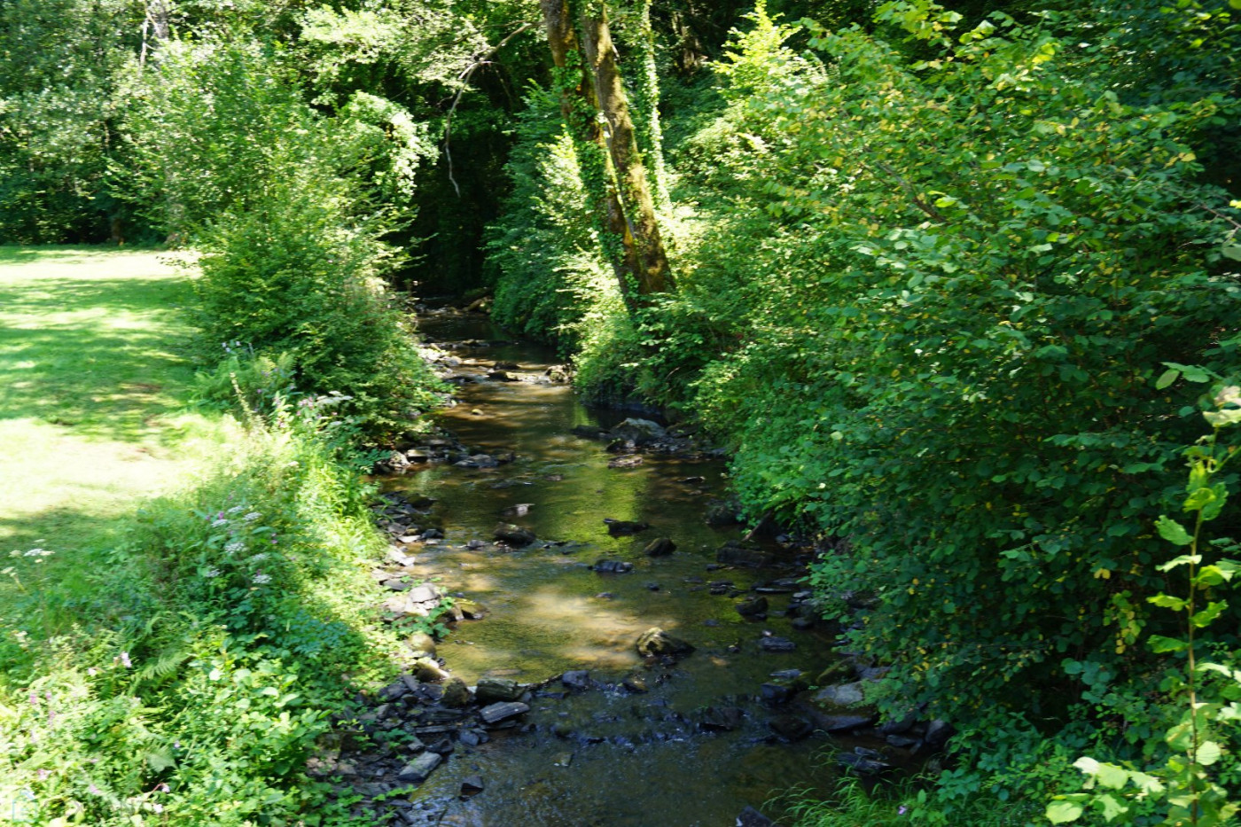 vente Domaine Sarrazac - Photo 12