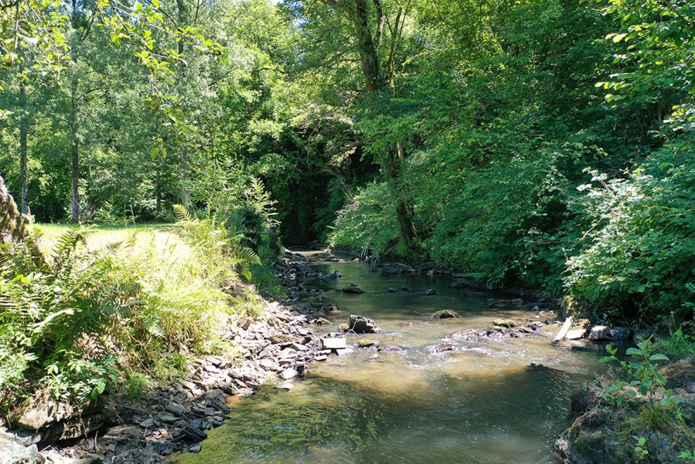 vente Domaine Sarrazac - Photo 13