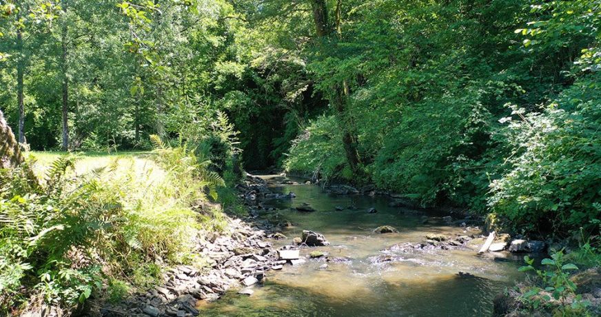 vente Domaine Sarrazac