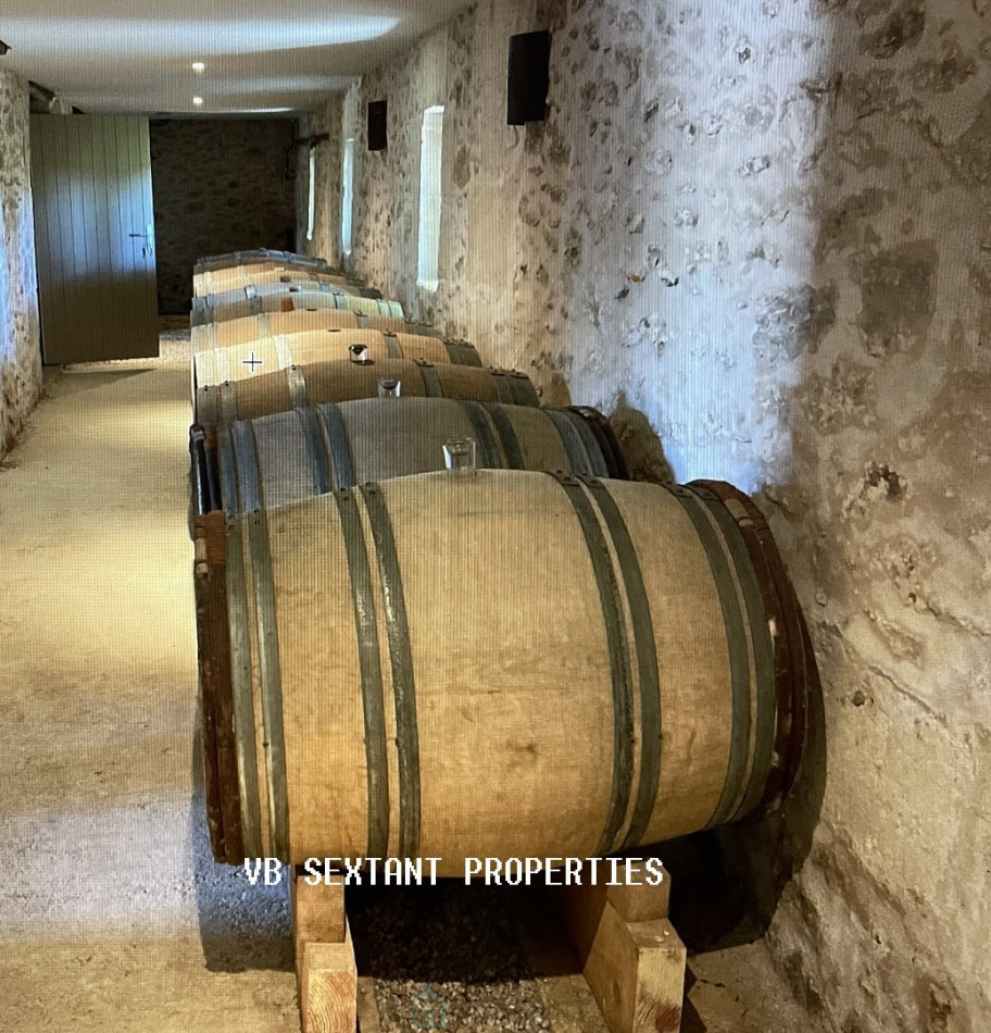 vente Demeure Cerons - Photo 10