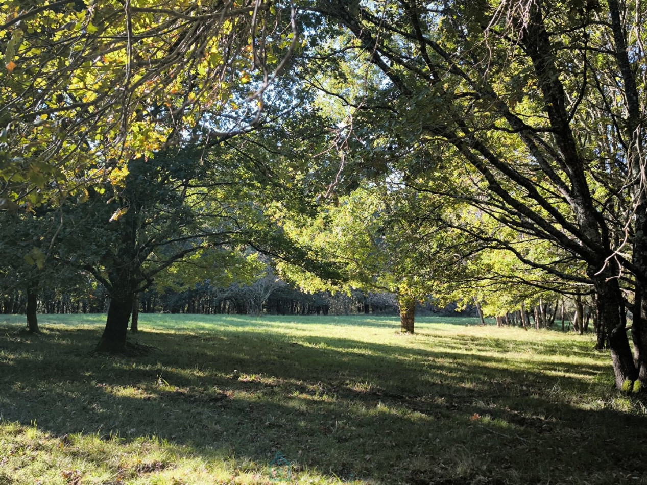 vente Maison de maître Bergerac - Photo 19