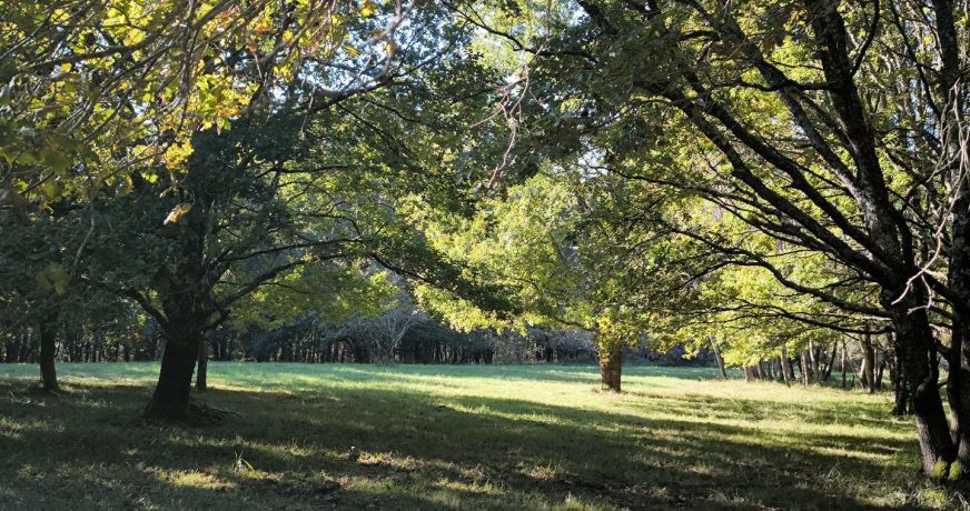 vente Maison de maître Bergerac