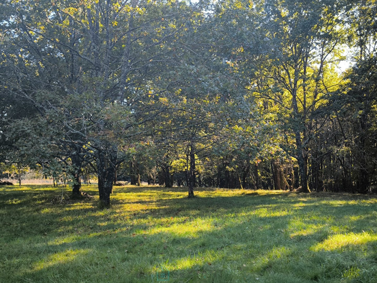 vente Maison de maître Bergerac - Photo 6