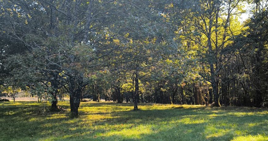 vente Maison de maître Bergerac