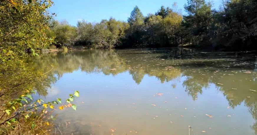 vente Maison de maître Bergerac