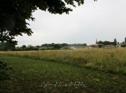 vente Saint Genis De Saintonge