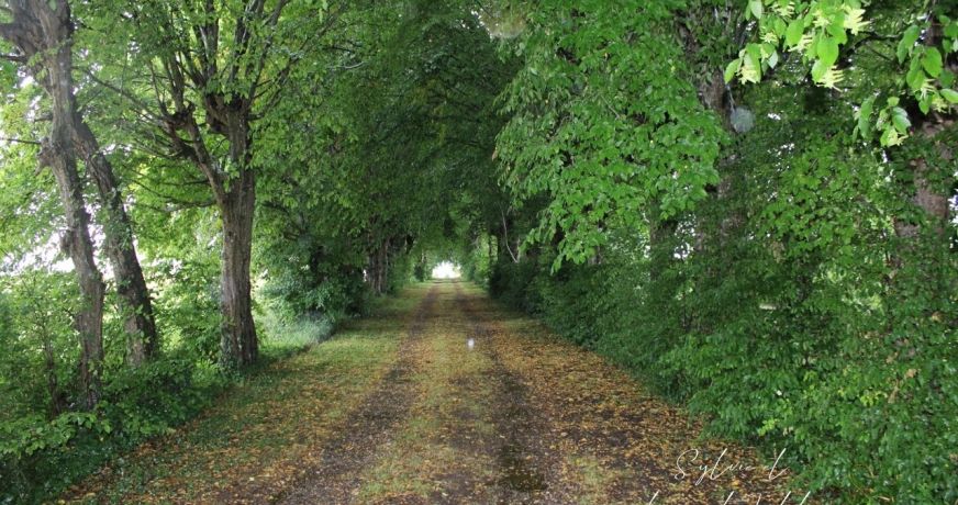 vente Terrain constructible Saint Genis De Saintonge