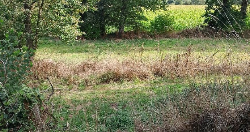 vente Maison Neant Sur Yvel