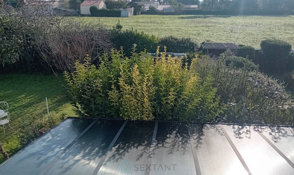 vente  Saint Palais Sur Mer