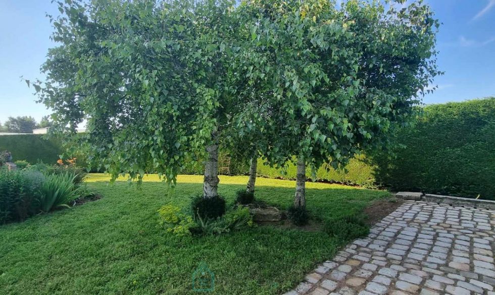 vente  Mehun Sur Yevre