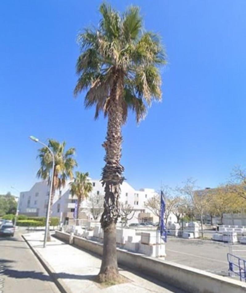 vente Local commercial Hyeres - Photo 2