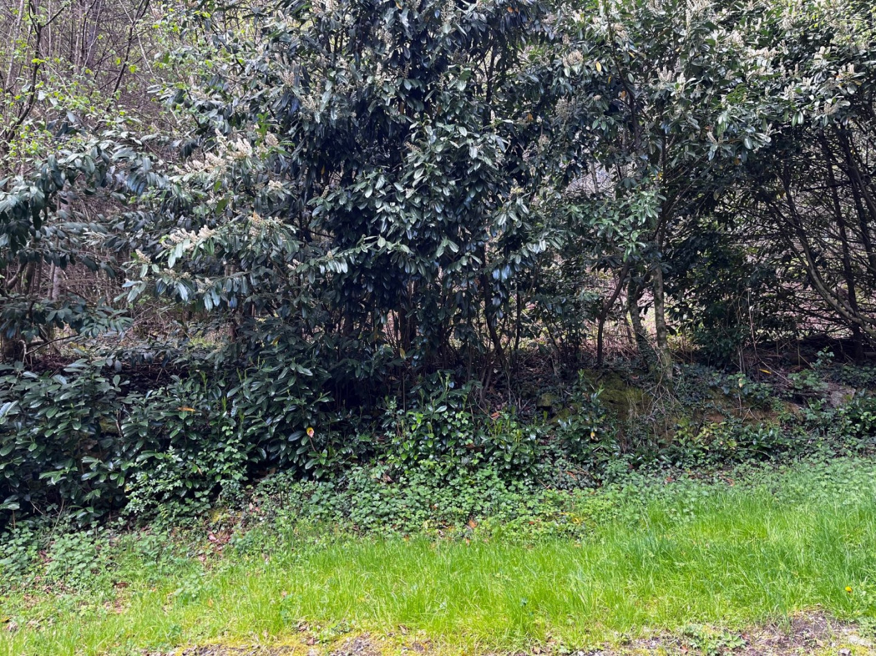 vente Maison de caractère L'eglise Aux Bois - Photo 8