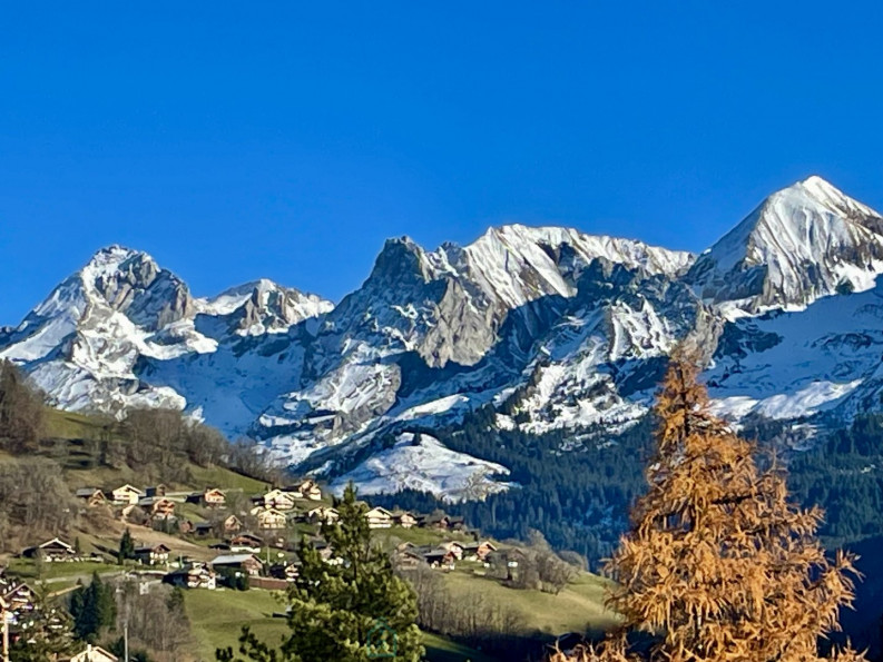 vente Terrain constructible Le Grand Bornand - Photo 6