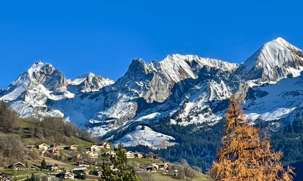 vente Le Grand Bornand