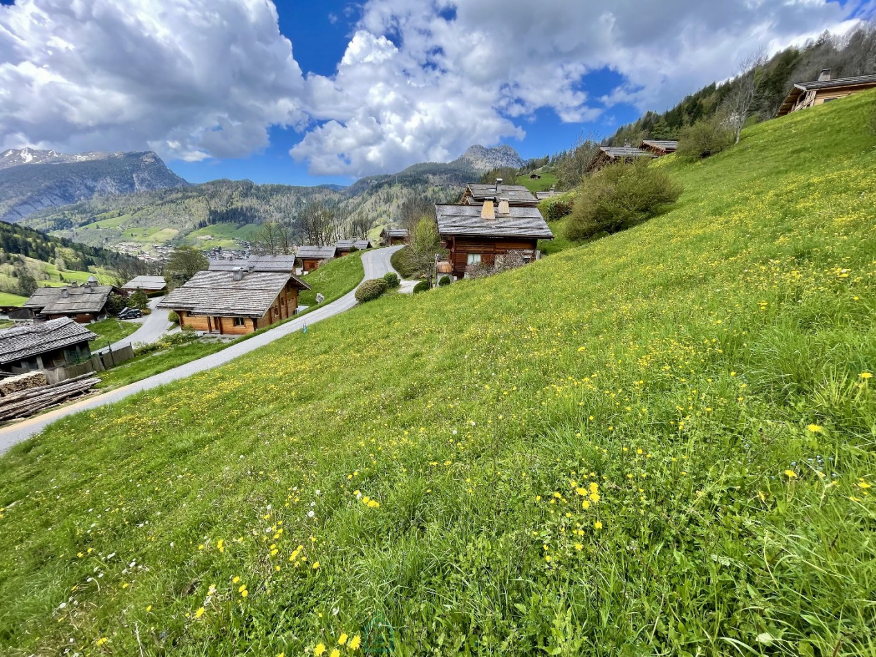 vente Terrain constructible Le Grand Bornand - Photo 4