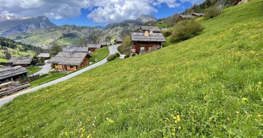 vente Terrain constructible Le Grand Bornand