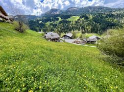 vente Le Grand Bornand