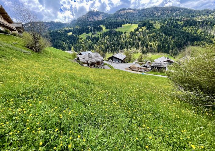 vente Terrain constructible Le Grand Bornand