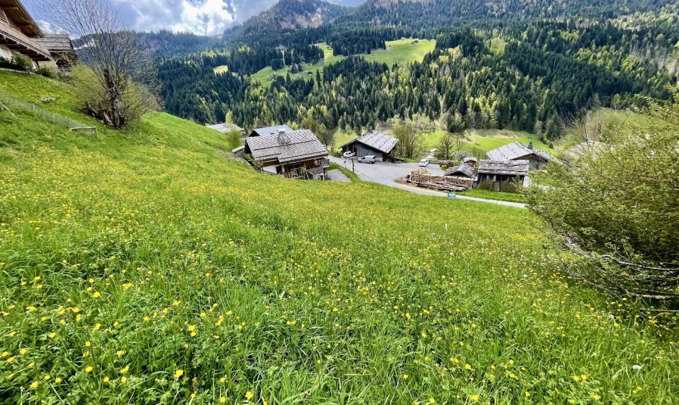 vente Le Grand Bornand