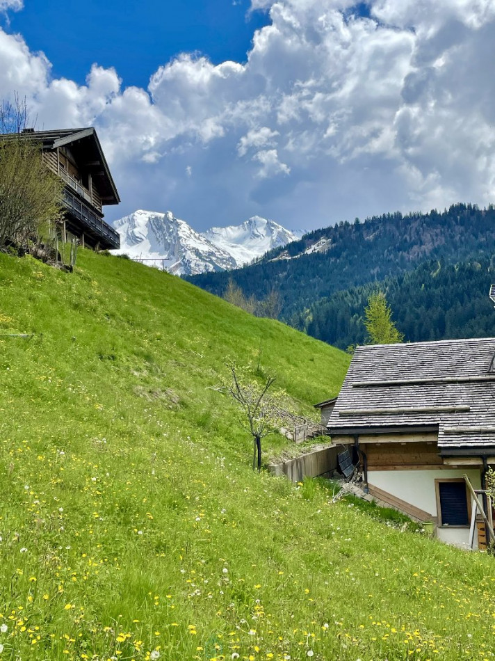 vente Terrain constructible Le Grand Bornand - Photo 2
