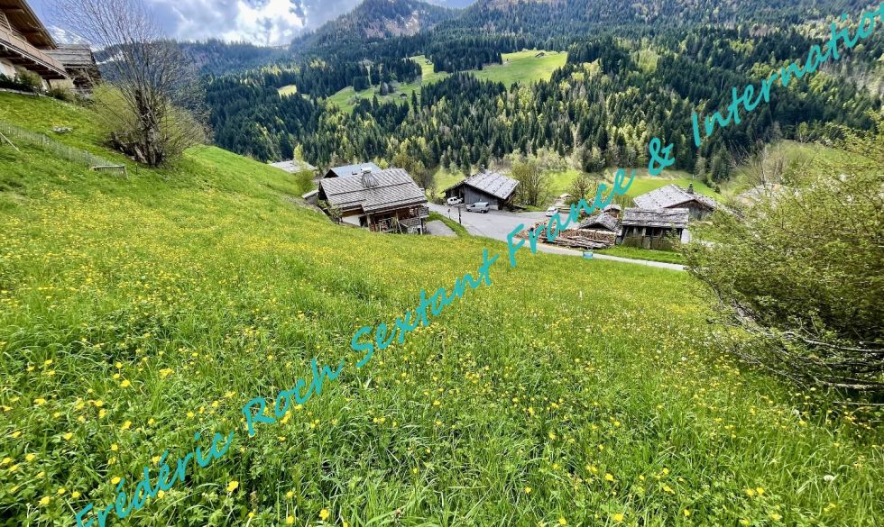 vente Le Grand Bornand