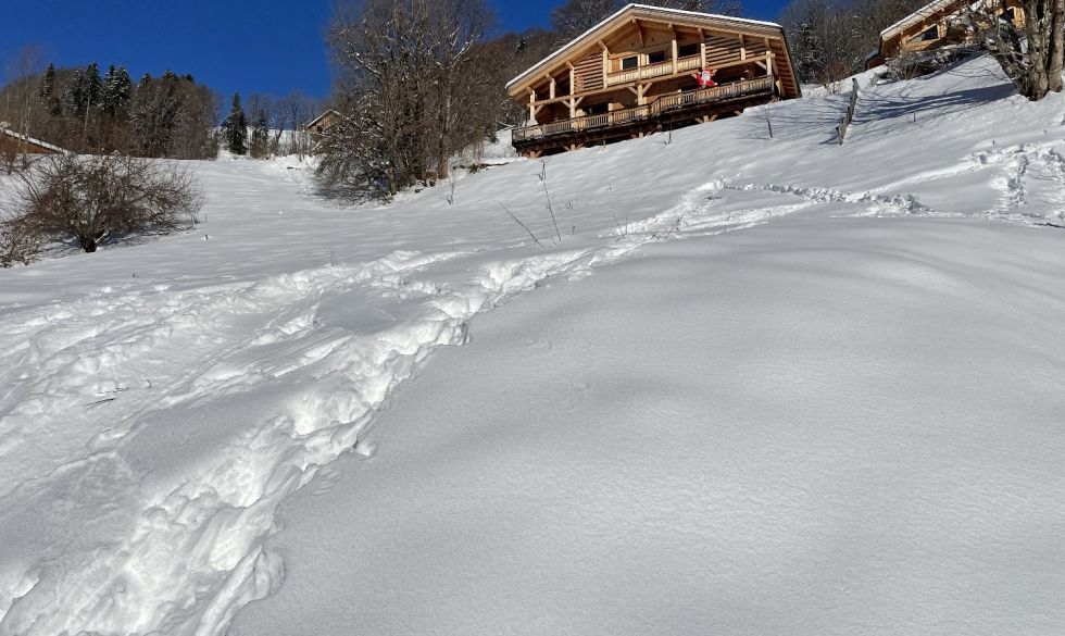 vente Le Grand Bornand