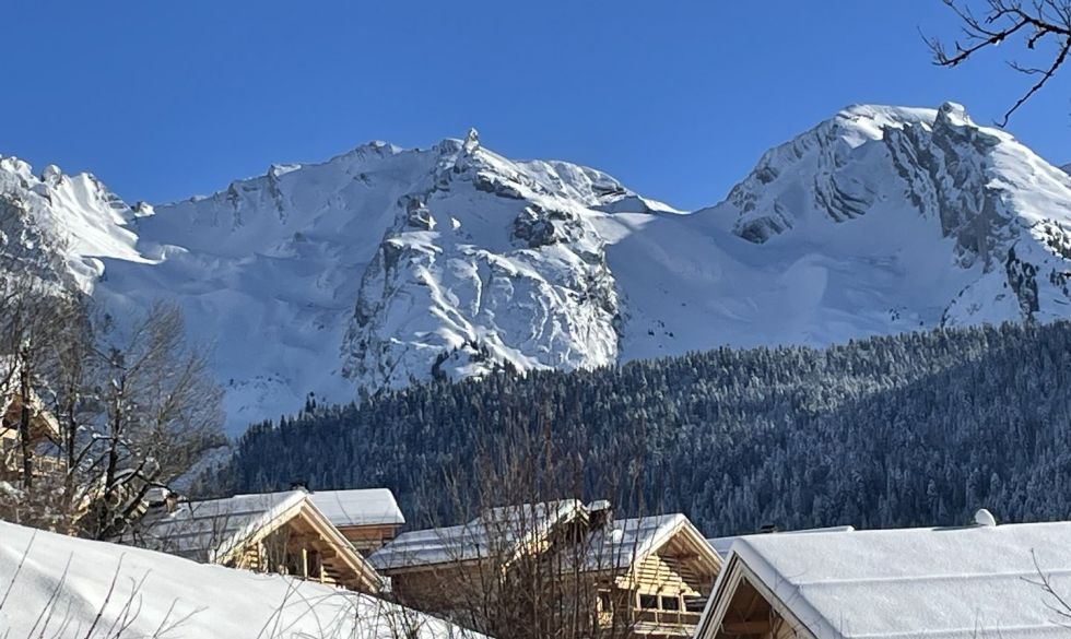 vente Le Grand Bornand