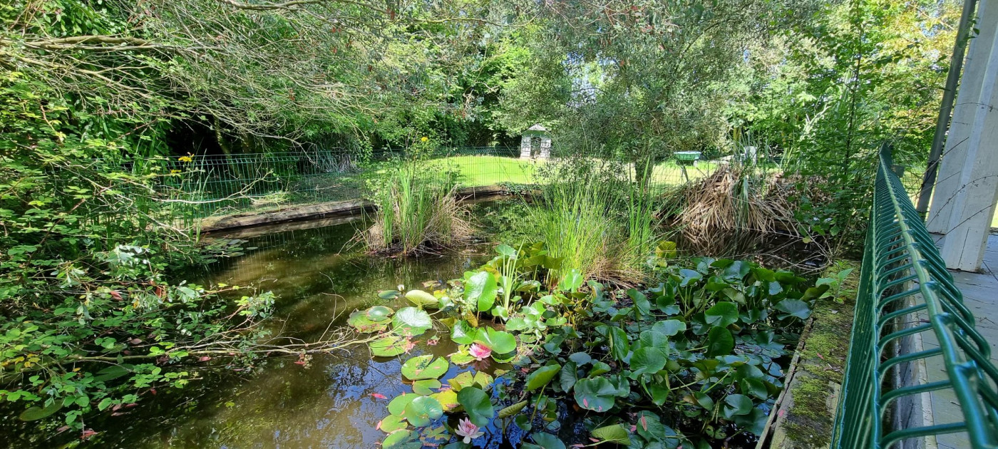 vente Propriété Genneville - Photo 7