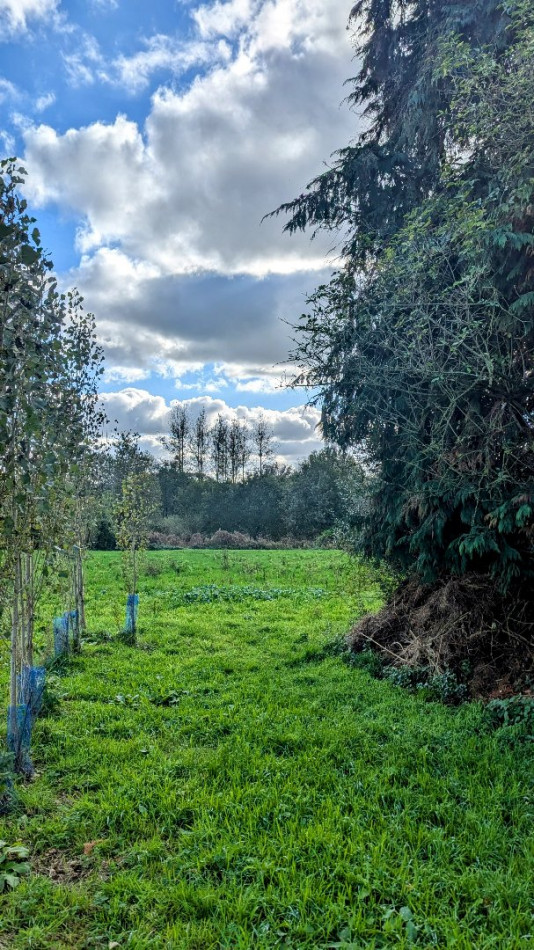 vente Maison de caractère Lignol - Photo 21