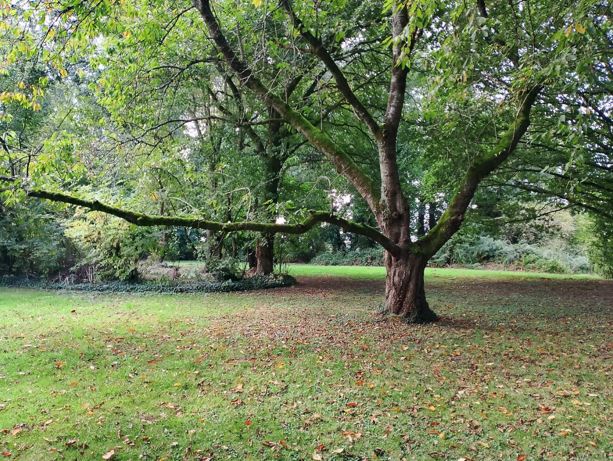 vente Maison Mohon - Photo 11