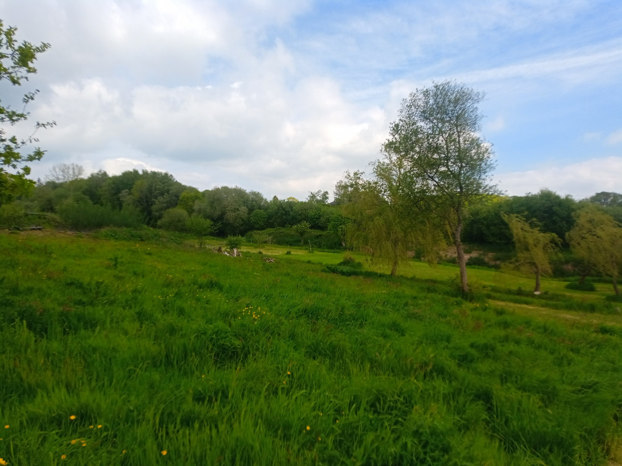 vente Maison de campagne Plumelin - Photo 21