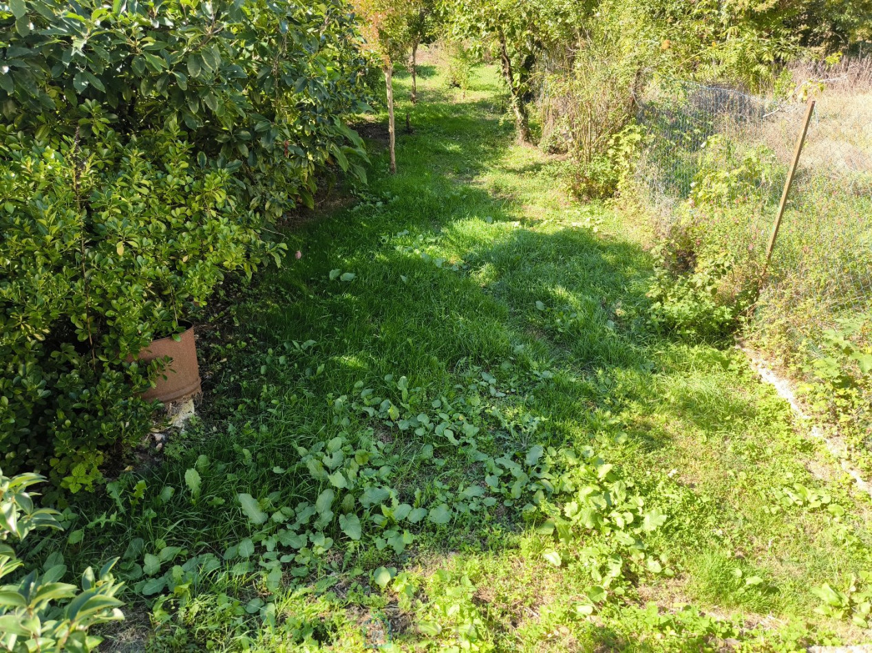 vente Maison de ville Bergerac - Photo 6