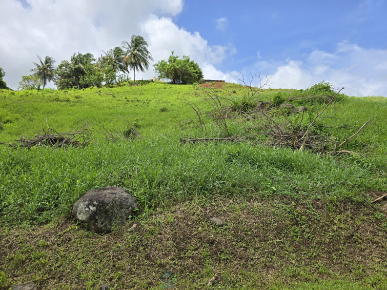vente Terrain Le Lamentin - Photo 5