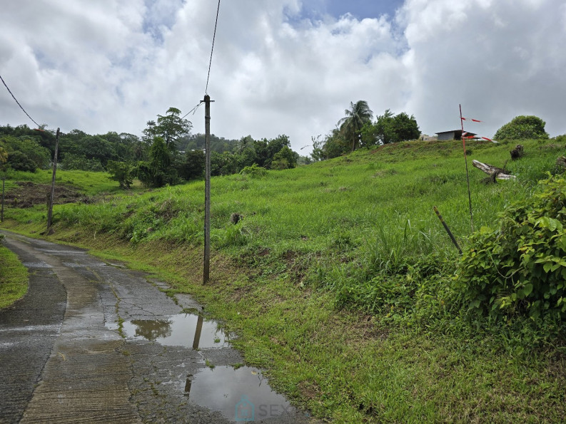 vente Terrain Le Lamentin - Photo 6