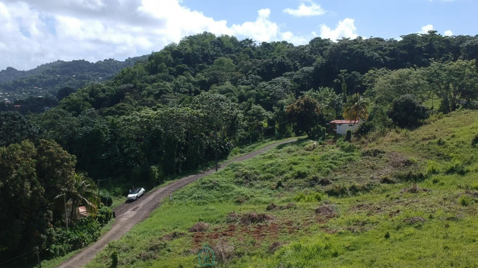 vente Terrain Le Lamentin - Photo 3