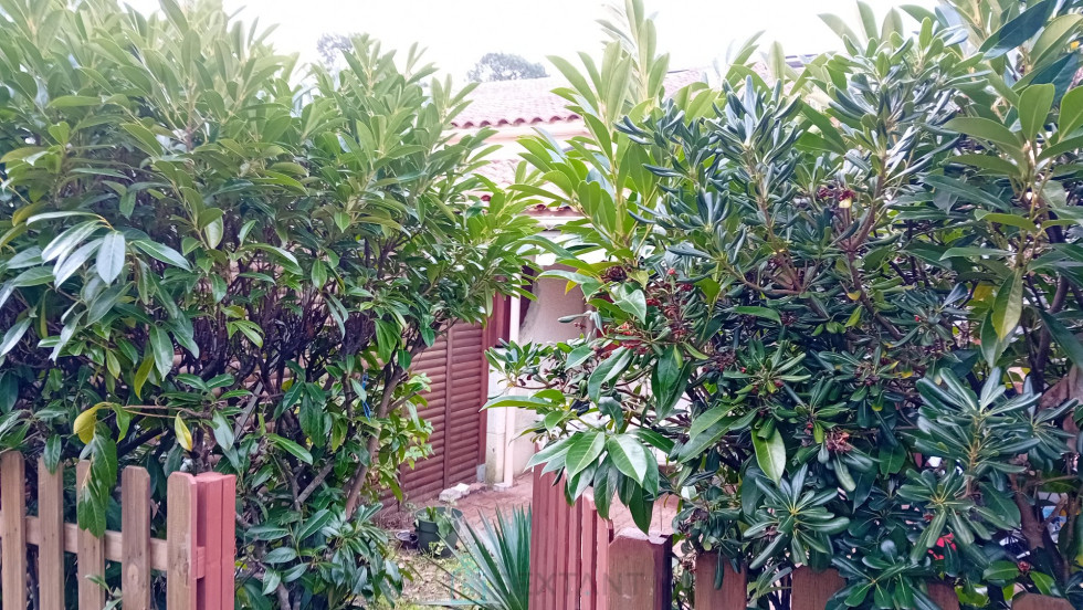 vente Appartement en rez de jardin Les Mathes - Photo 1