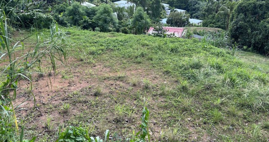 vente Terrain constructible Ducos