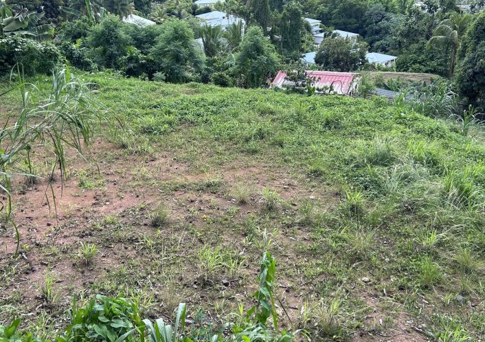 vente Terrain constructible Ducos