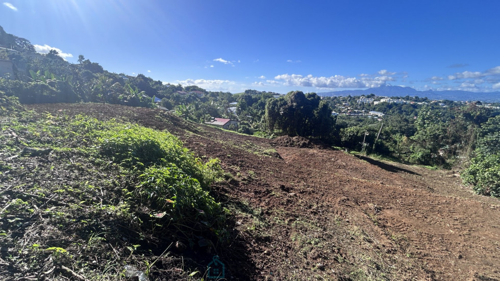 vente Terrain constructible Ducos - Photo 5