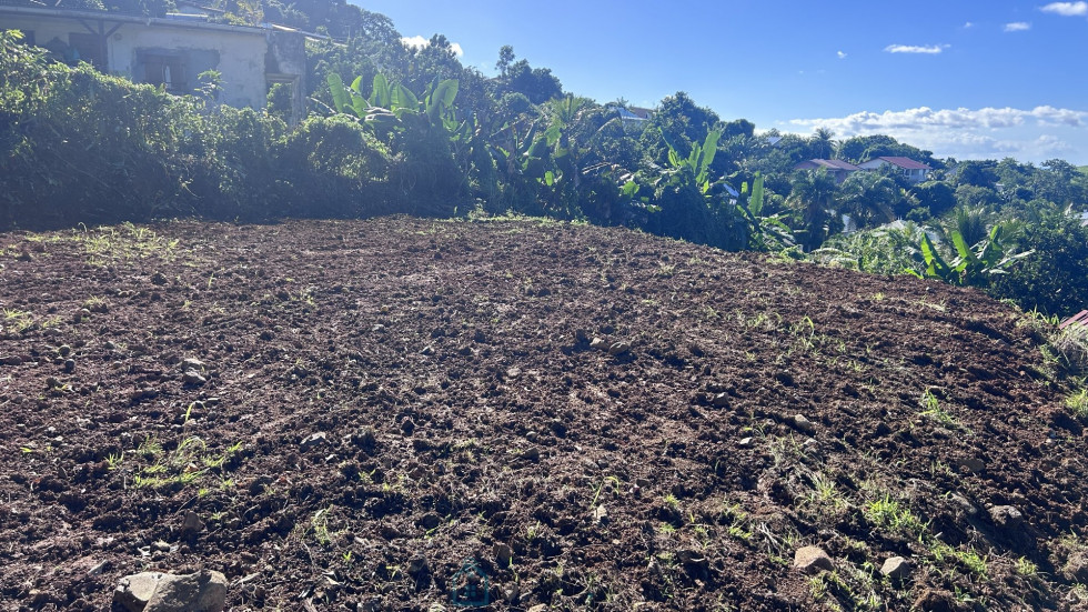 vente Terrain constructible Ducos - Photo 3