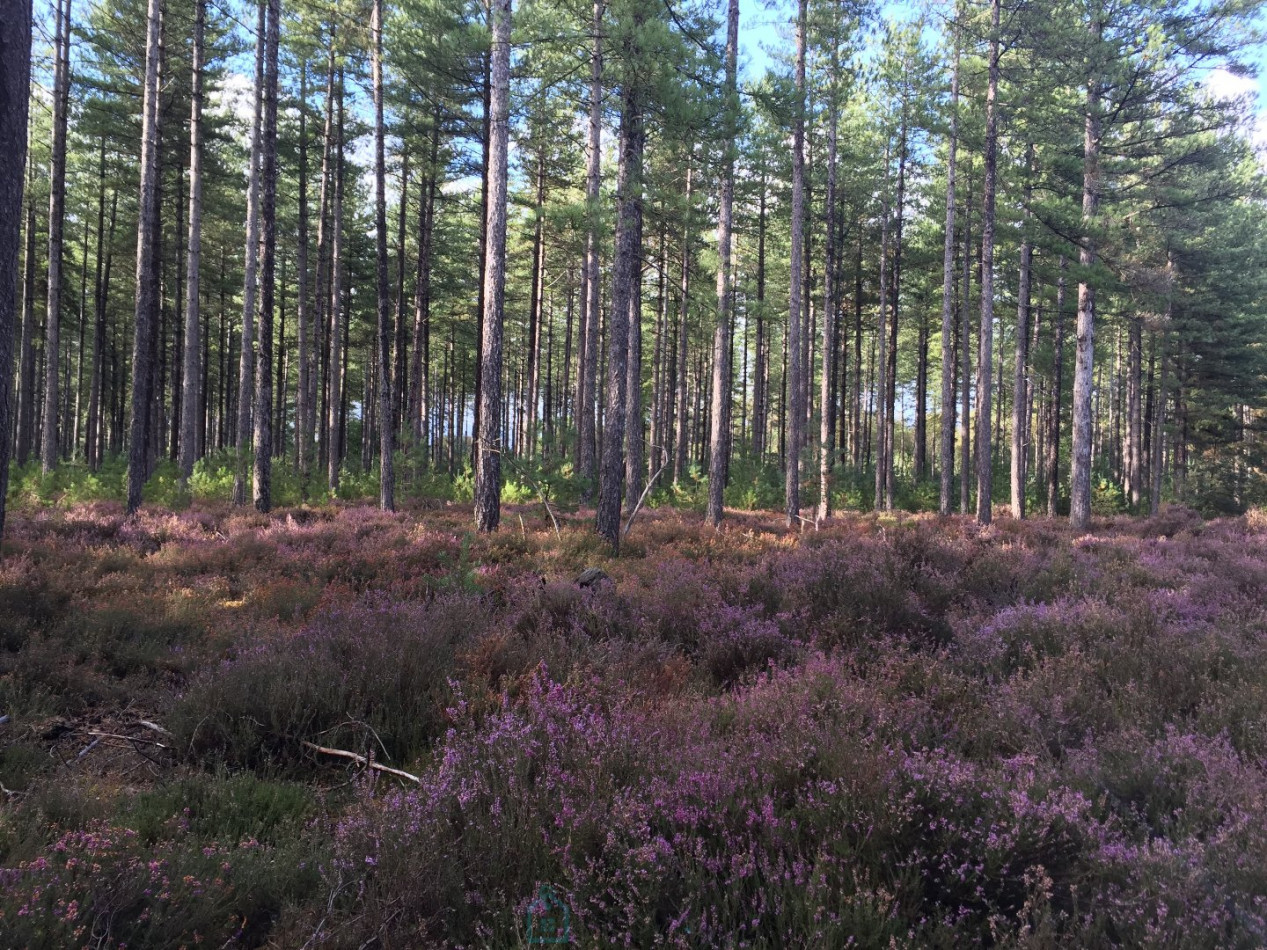vente Château Salbris - Photo 6