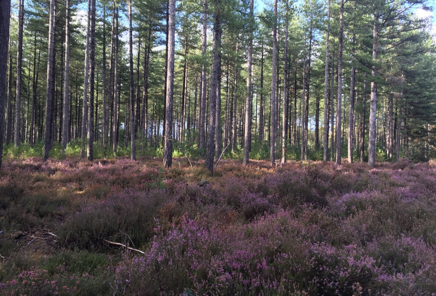 vente Château Salbris - Photo 6