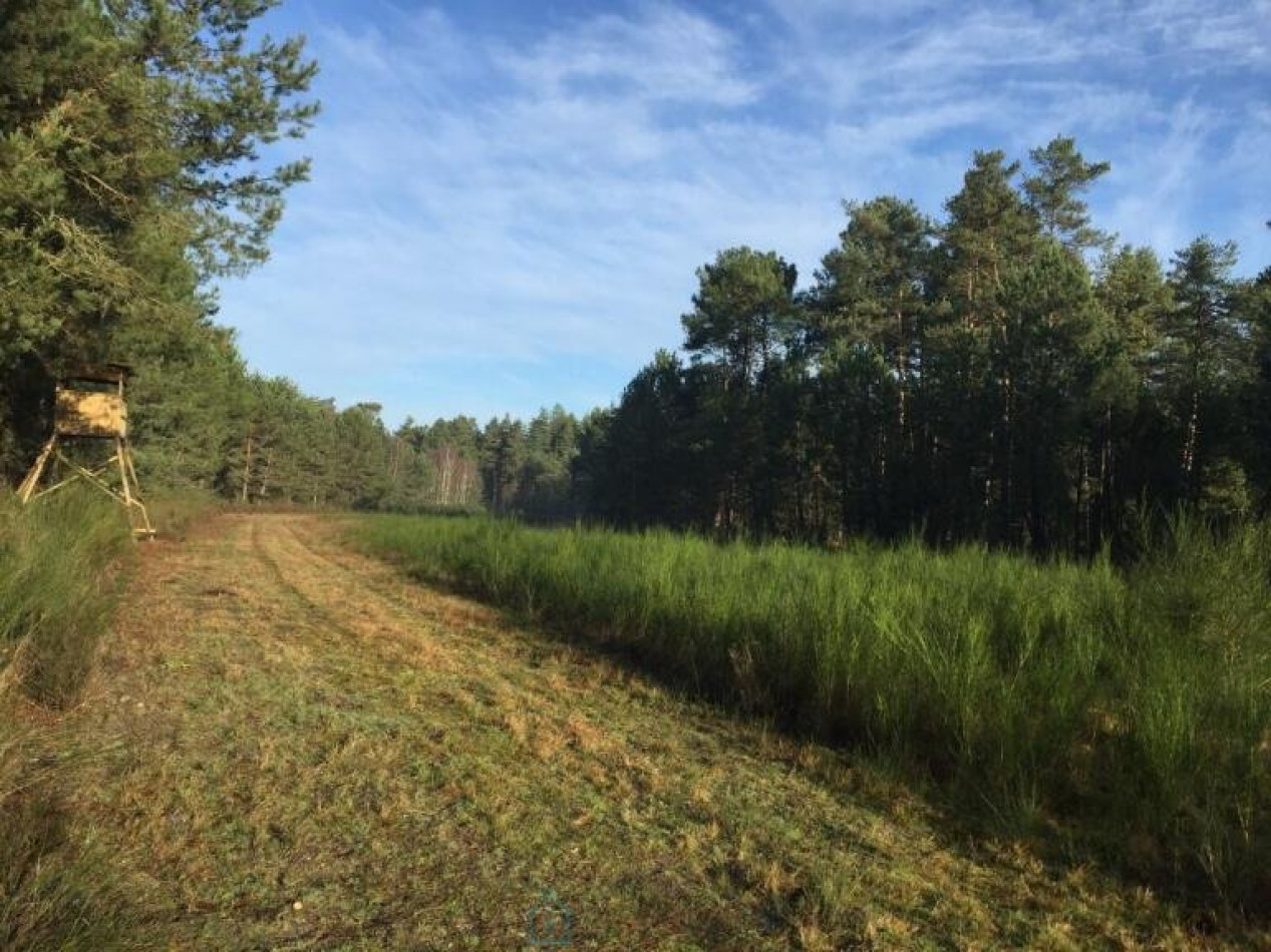 vente Château Salbris - Photo 7