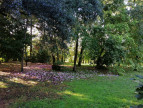 vente Demeure de ville et village Saint Antoine Cumond