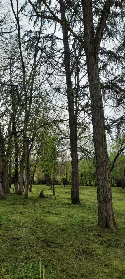 vente Demeure de ville et village Saint Antoine Cumond - Photo 25