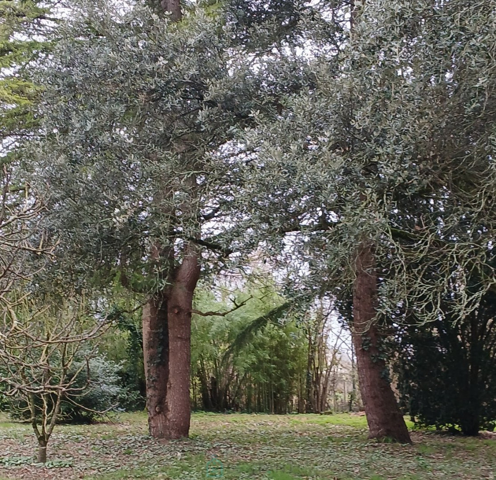 vente Demeure de ville et village Saint Antoine Cumond - Photo 22