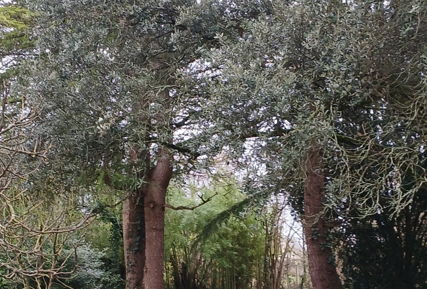 vente Demeure de ville et village Saint Antoine Cumond - Photo 9