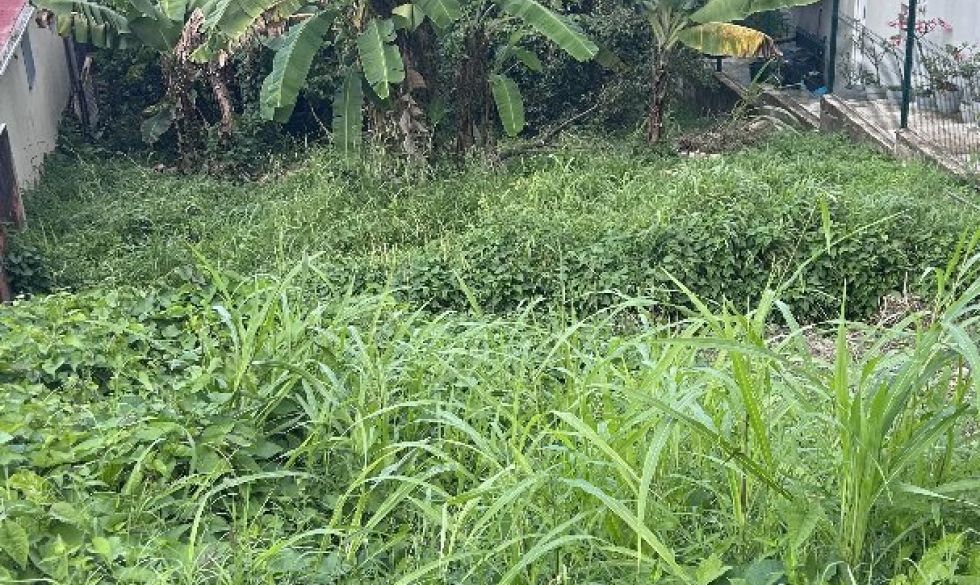 vente  Fort De France