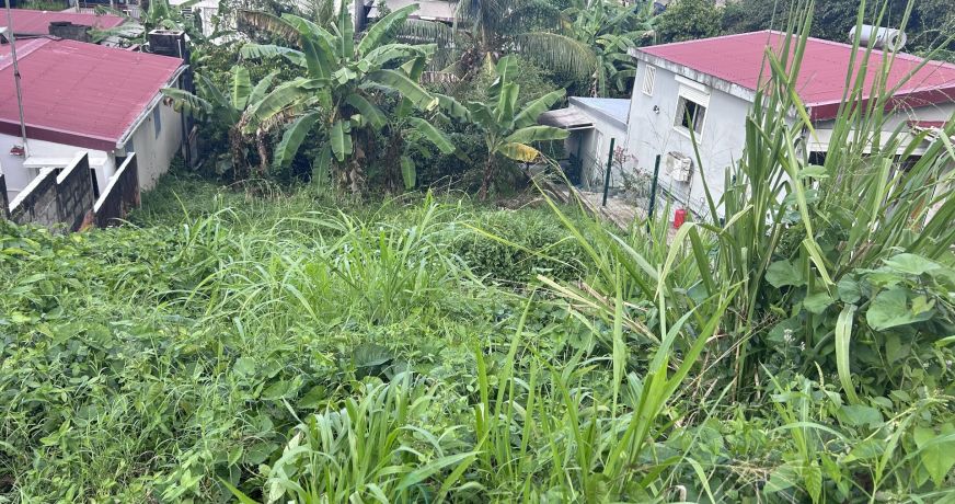 vente Terrain constructible Fort De France