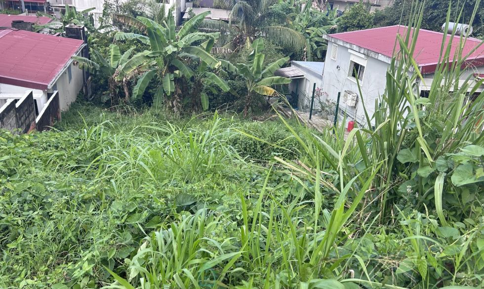 vente  Fort De France